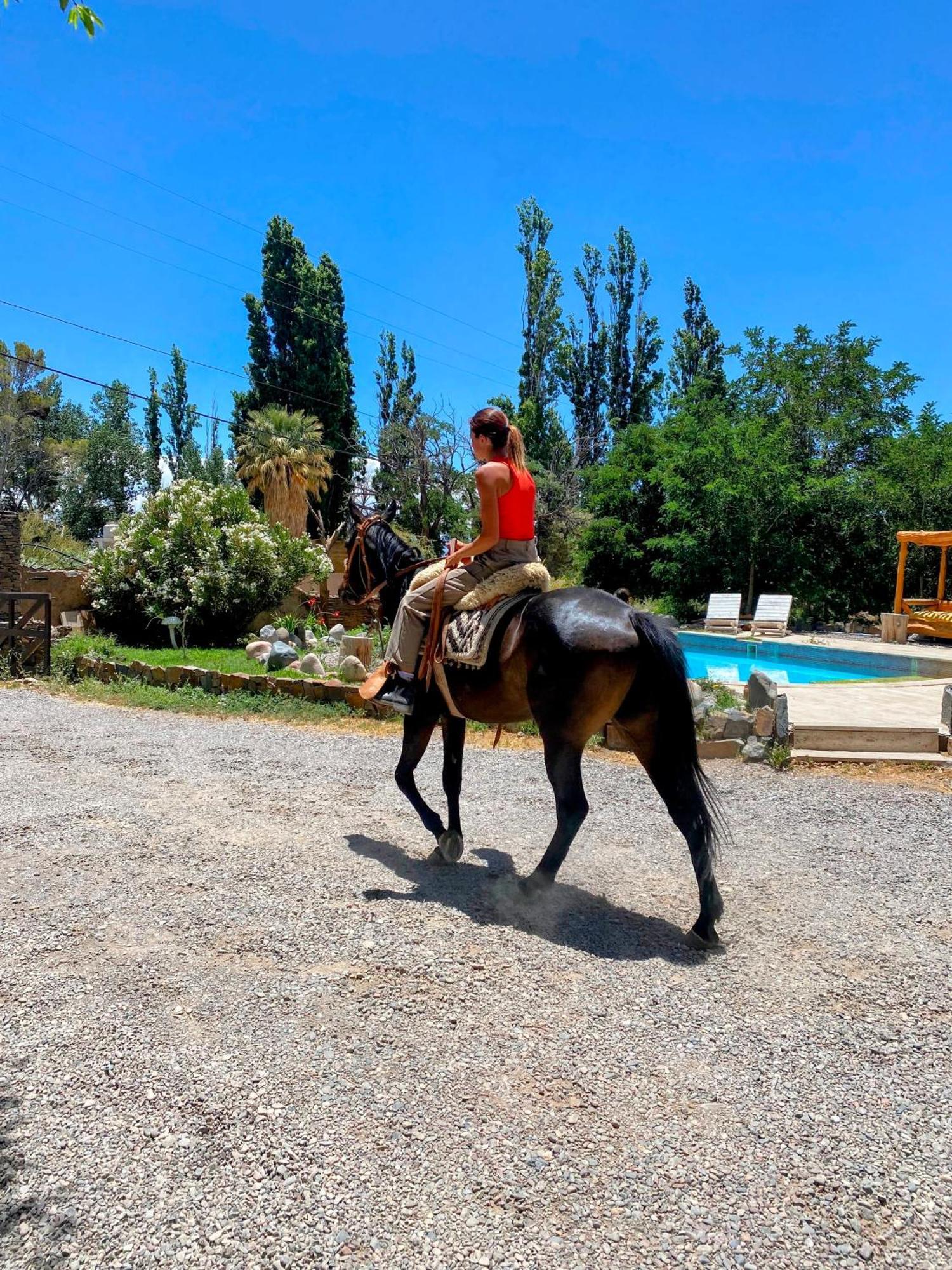 La Comarca Del Jarillal Ξενοδοχείο Las Flores  Εξωτερικό φωτογραφία